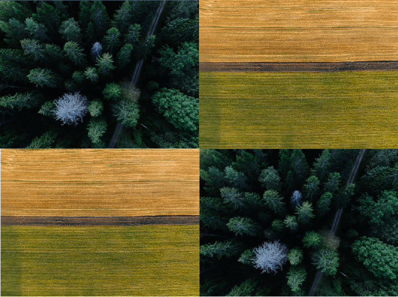 Actifs tangibles – forêts et terres agricoles
